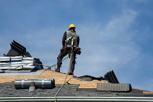 Professional Roof Installation technician working in Dickey, ND